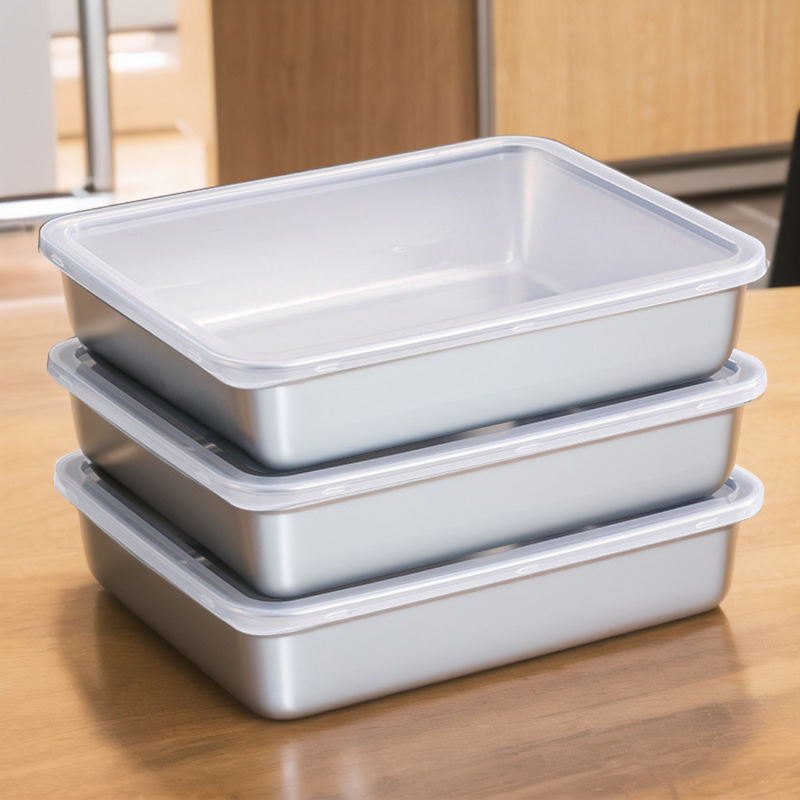 Scatola per la conservazione degli alimenti in acciaio inox 304 (25x20x5 cm)
