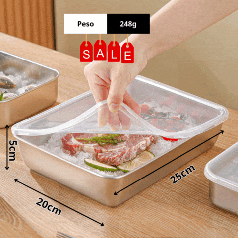 Contenitore per alimenti di qualità superiore in acciaio inox 304 - Utilizzo sicuro in microonde (25 x 20 x 5cm)